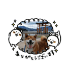たのしい りき君  2（個別スタンプ：14）