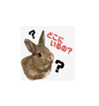 むぎちゃんのいちにち（個別スタンプ：2）