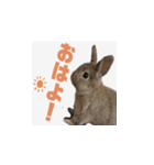 むぎちゃんのいちにち（個別スタンプ：4）