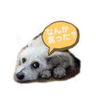 らぶ・すまいる（個別スタンプ：4）