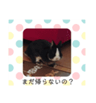 うさぎ3羽とハム一匹一家（個別スタンプ：2）