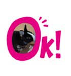 うさぎ3羽とハム一匹一家（個別スタンプ：8）