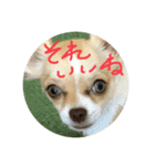 はるちゃん その四（個別スタンプ：2）