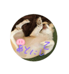 はるちゃん その四（個別スタンプ：3）