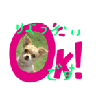 はるちゃん その四（個別スタンプ：6）