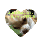 はるちゃん その四（個別スタンプ：7）