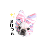 ナタリースタンプ（個別スタンプ：1）