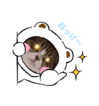 ノイ＆ニム（個別スタンプ：5）