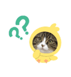 ノイ＆ニム（個別スタンプ：11）