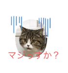 ノイ＆ニム（個別スタンプ：14）