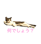 ノイ＆ニム（個別スタンプ：15）