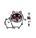 コテのスタンプ（個別スタンプ：3）