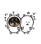 コテのスタンプ（個別スタンプ：8）