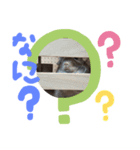 チンチラキナコ君（個別スタンプ：4）