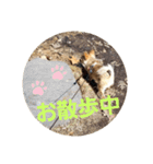 ちゃぴ4（個別スタンプ：13）