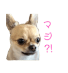 ちゃぴ4（個別スタンプ：14）
