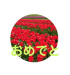 たけしのスタンプ  その10（個別スタンプ：14）