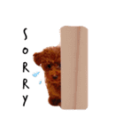 殿くんのひとこと（個別スタンプ：13）