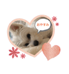 Iℓσνє♡ぽん（個別スタンプ：7）