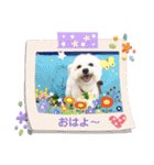 Iℓσνє♡ぽん（個別スタンプ：8）