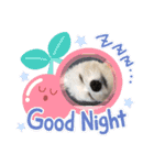Iℓσνє♡ぽん（個別スタンプ：14）