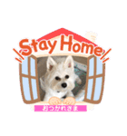 Iℓσνє♡ぽん（個別スタンプ：16）