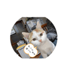GeniusGroup（個別スタンプ：14）