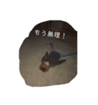 GeniusGroup（個別スタンプ：17）