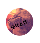 顔で語る猫（個別スタンプ：2）