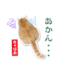 ちゃぴお2（個別スタンプ：1）