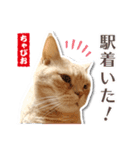 ちゃぴお2（個別スタンプ：9）