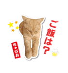 ちゃぴお2（個別スタンプ：11）