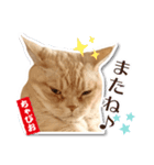 ちゃぴお2（個別スタンプ：16）