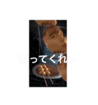 lets go maximum10（個別スタンプ：16）