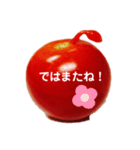かわいいプチトマト（個別スタンプ：16）