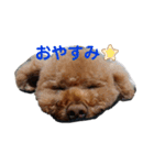 くれもんスタンプ（個別スタンプ：1）