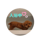 くれもんスタンプ（個別スタンプ：3）