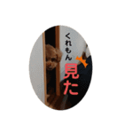 くれもんスタンプ（個別スタンプ：4）