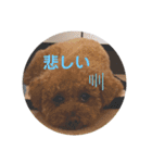 くれもんスタンプ（個別スタンプ：12）