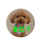 くれもんスタンプ（個別スタンプ：14）