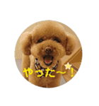 くれもんスタンプ（個別スタンプ：15）