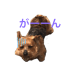 ドギーコテージスタンプ（個別スタンプ：10）