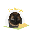 ここちゃんのまったりタイム（個別スタンプ：3）