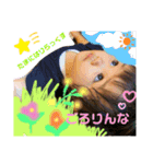 りんちゃんstamp No4（個別スタンプ：4）