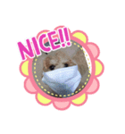 ワンズの呟き（個別スタンプ：3）