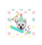 激かわちわぷースタンプ（個別スタンプ：20）