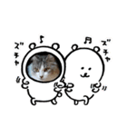 虎太郎＆蘭丸3（個別スタンプ：2）