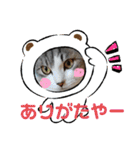 虎太郎＆蘭丸3（個別スタンプ：7）