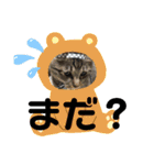 虎太郎＆蘭丸3（個別スタンプ：16）