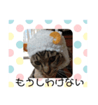 虎太郎＆蘭丸3（個別スタンプ：18）